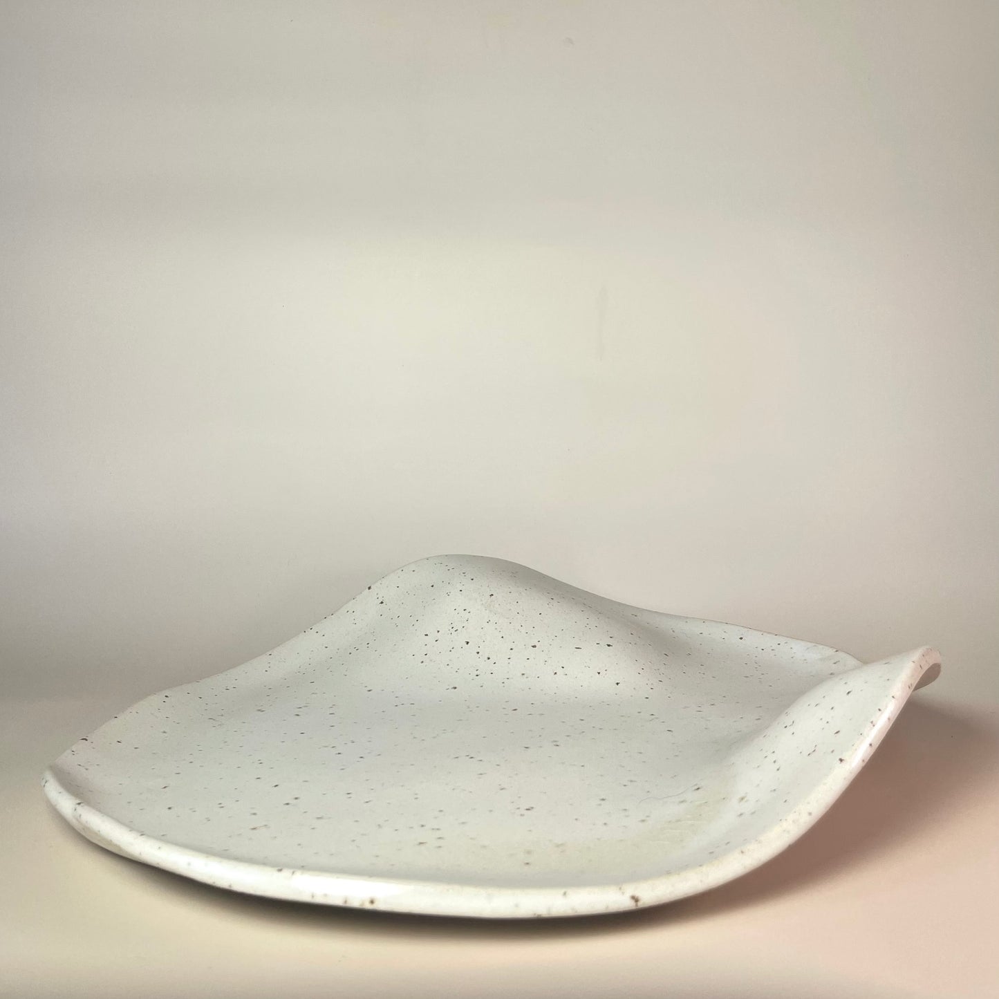 Organische schaal groot Kleikunstig