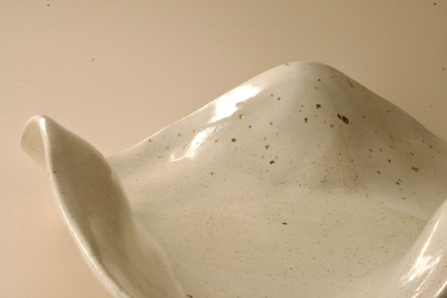 Organische schaal Kleikunstig