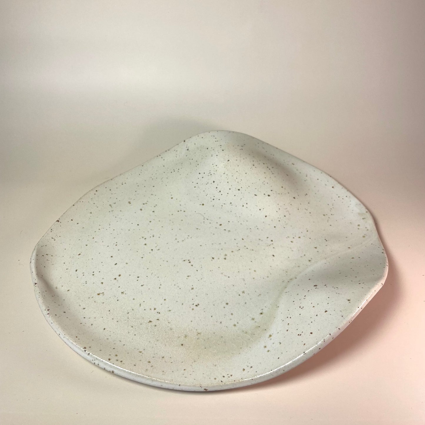 Organische schaal groot Kleikunstig