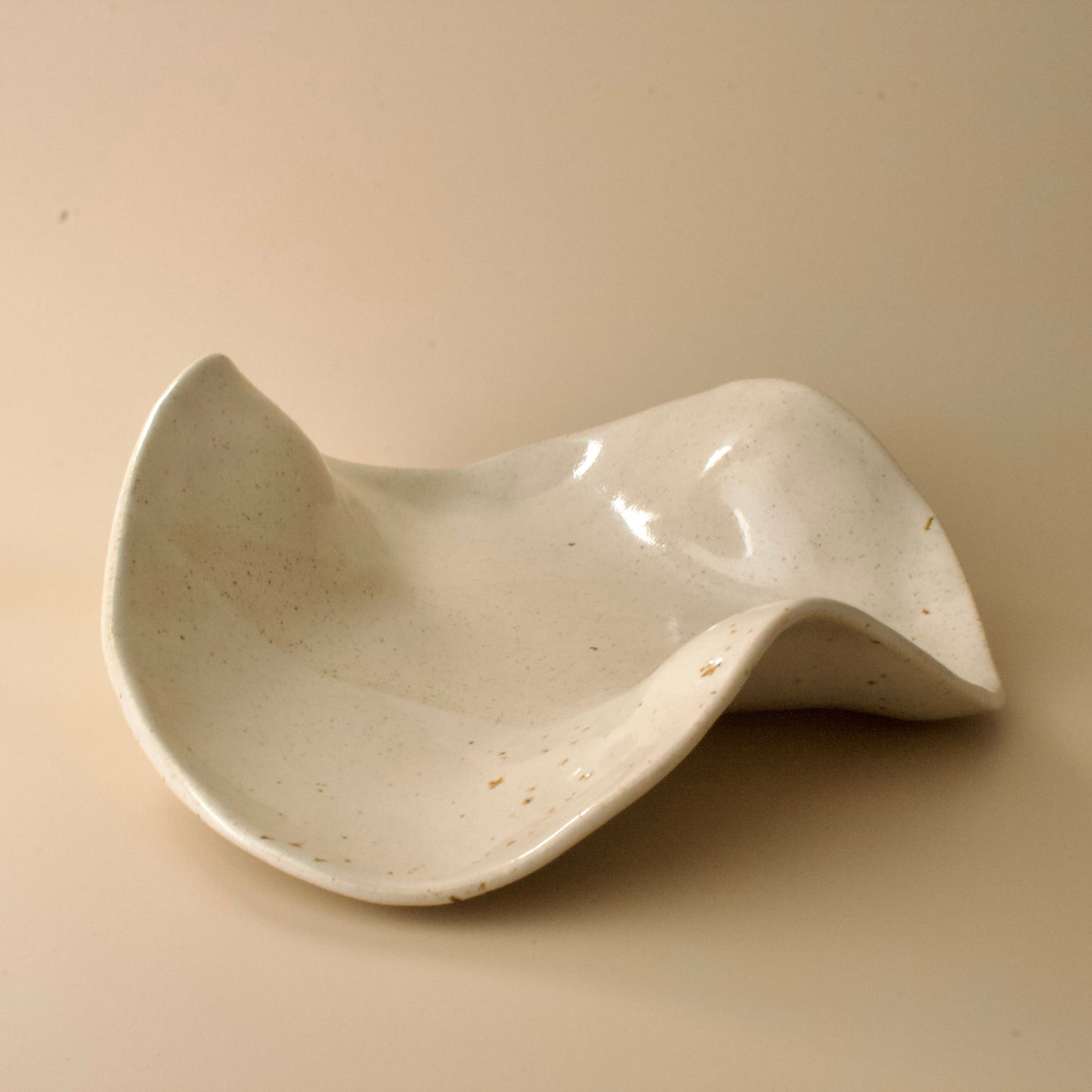 Organische schaal Kleikunstig