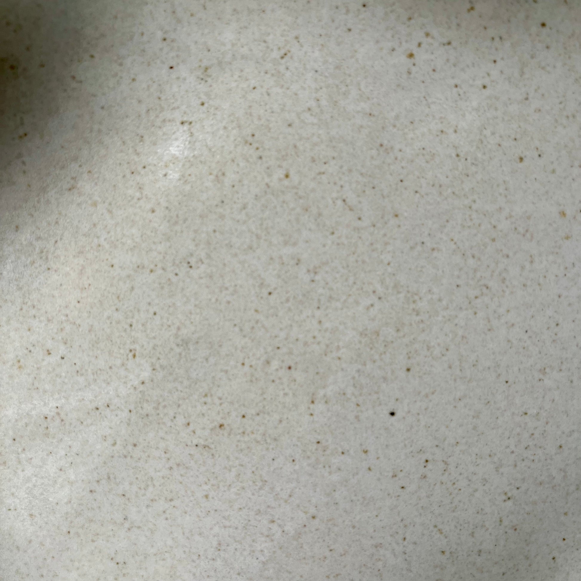 Organische schaal Kleikunstig