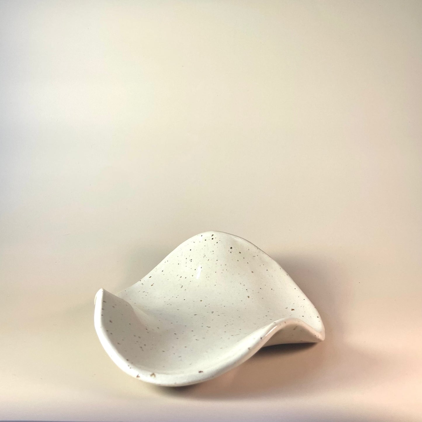 Organische schaal klein Kleikunstig