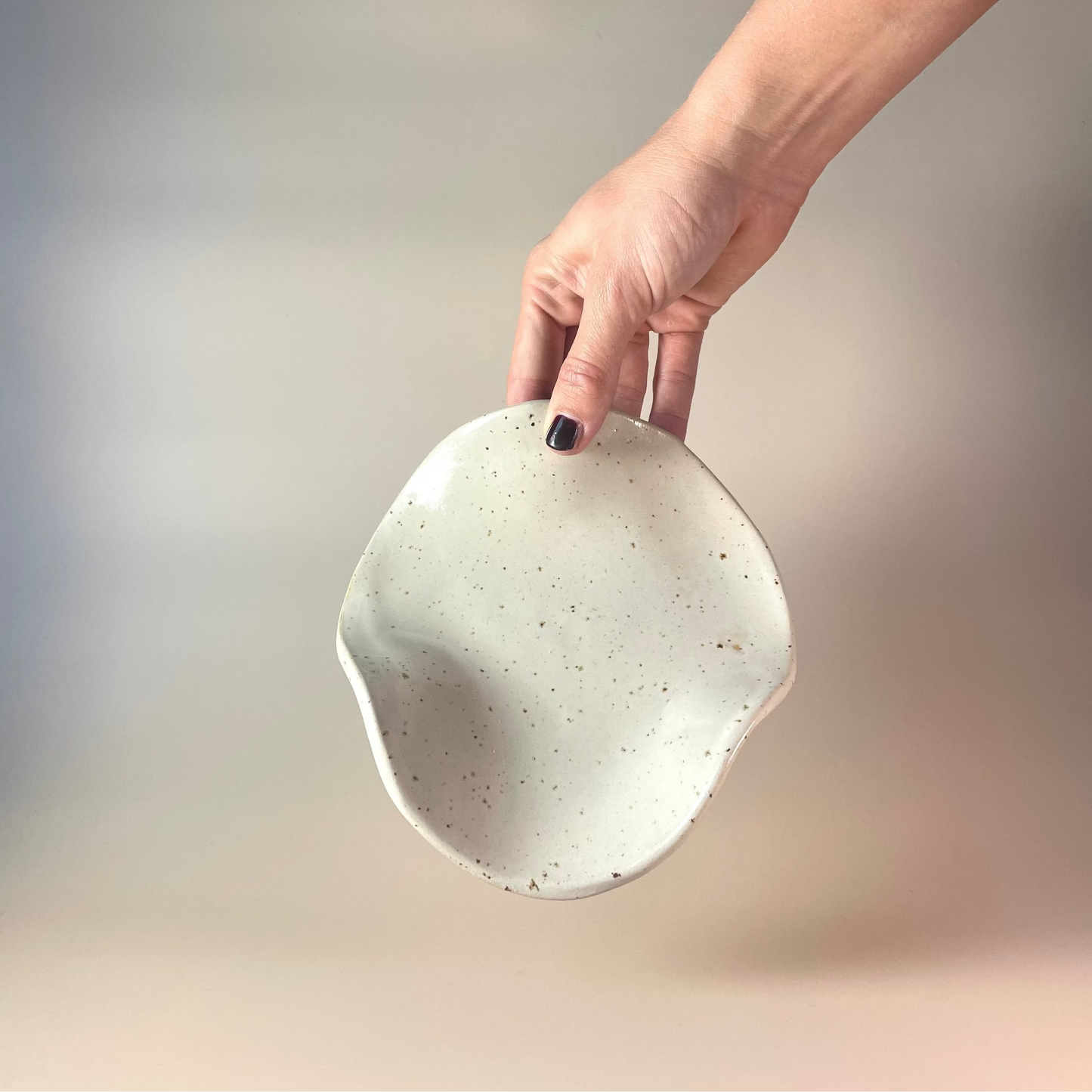 Organische schaal klein Kleikunstig