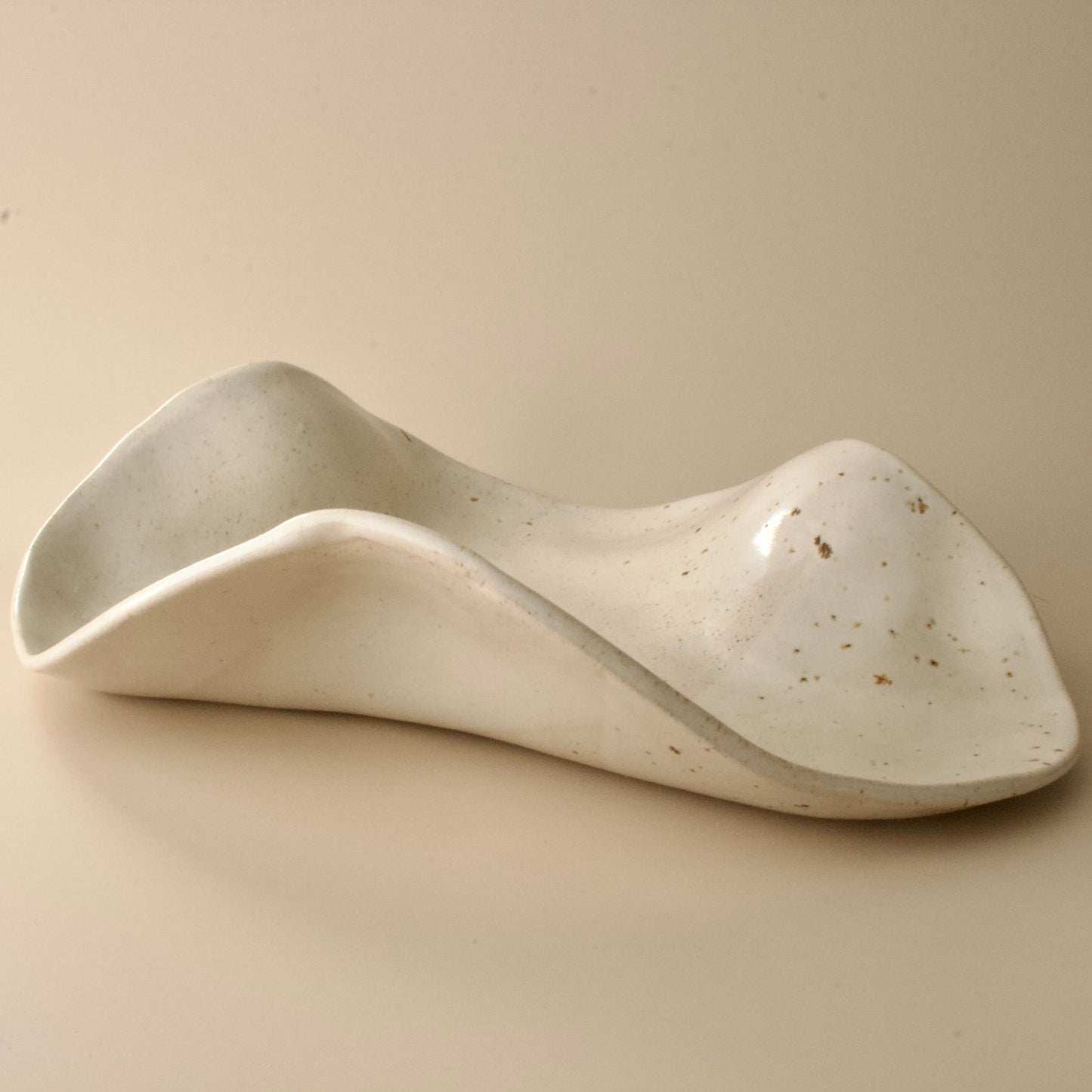 Organische schaal Kleikunstig